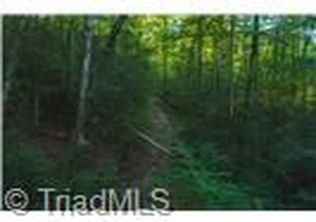 Photo 3 of Land for sale at 4157 Kirby Mountain Rd, Lenoir, NC 28645 | MLS# 1234238 | Listing updated on 2026-09-01