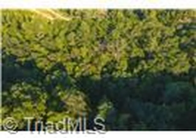 Photo 4 of Land for sale at 4157 Kirby Mountain Rd, Lenoir, NC 28645 | MLS# 1234238 | Listing updated on 2026-09-01
