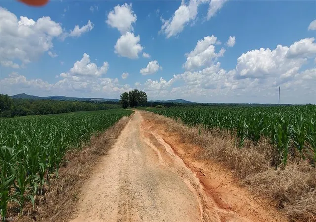 Photo 3 of Land for sale at 3641 US Hwy 21, Hamptonville, NC 27020 | MLS# 1234733 | Listing updated on 2026-09-08
