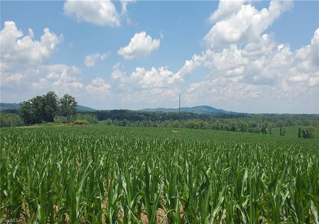 Photo 4 of Land for sale at 3641 US Hwy 21, Hamptonville, NC 27020 | MLS# 1234733 | Listing updated on 2026-09-08