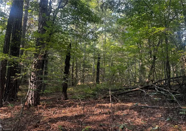 Photo 3 of Land for sale at 00 Sheffield Rd, Seagrove, NC 27341 | MLS# 1234034 | Listing updated on 2026-09-10