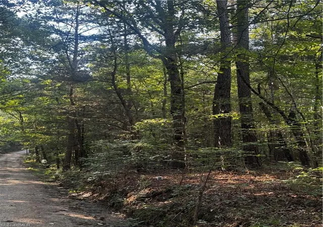 Land for sale at 00 Sheffield Rd, Seagrove, NC 27341 | MLS# 1234034 | Listing updated on 2026-10-19