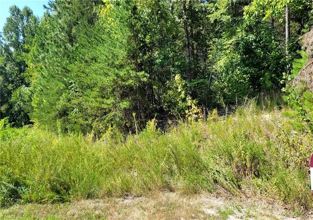 Photo 1 of Land for sale at 222 Kingfish St, Winston Salem, NC 27107 | MLS# 1233721 | Listing updated on 2026-09-03