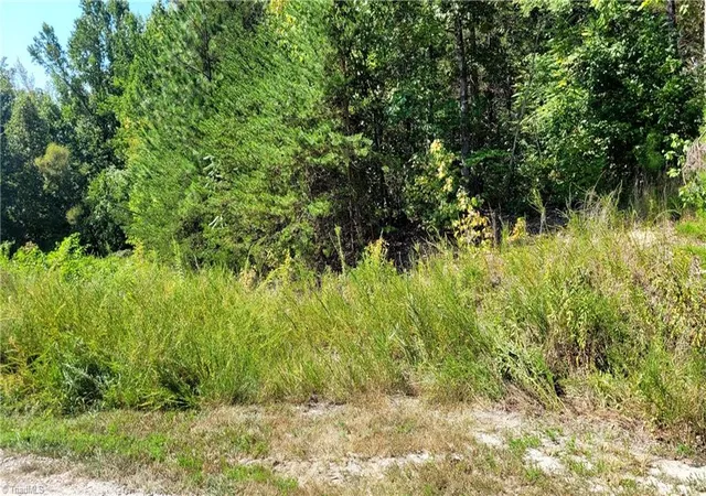 Photo 2 of Land for sale at 222 Kingfish St, Winston Salem, NC 27107 | MLS# 1233721 | Listing updated on 2026-09-03