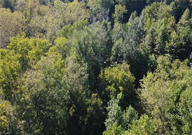 Photo 4 of Land for sale at 0 Palisade Dr, Pfafftown, NC 27040 | MLS# 1234708 | Listing updated on 2026-09-10