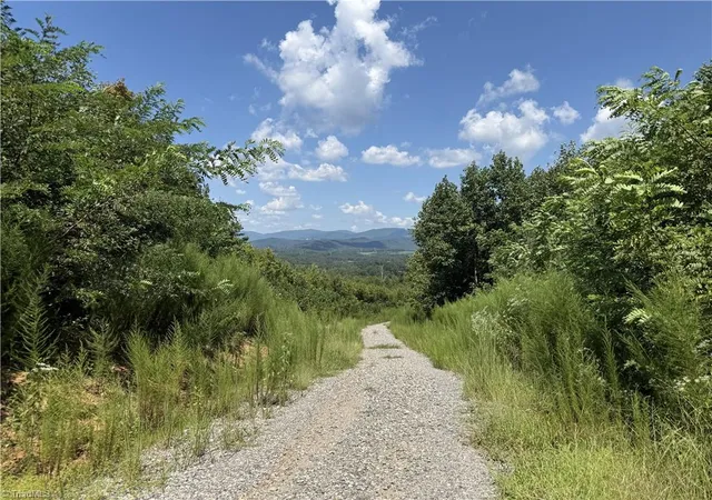 Photo 2 of Land for sale at Off Bauguess Ml Rd, Traphill, NC 28685 | MLS# 1235167 | Listing updated on 2026-09-22