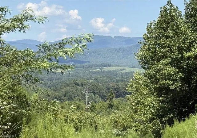 Photo 3 of Land for sale at Off Bauguess Ml Rd, Traphill, NC 28685 | MLS# 1235167 | Listing updated on 2026-09-22