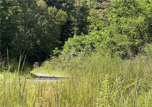 Photo 3 of Land for sale at Off Bauguess Ml Rd, Traphill, NC 28685 | MLS# 1235167 | Listing updated on 2026-09-22