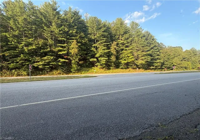 Land for sale at 0 W US Hwy 421, Purlear, NC 28665 | MLS# 1234255