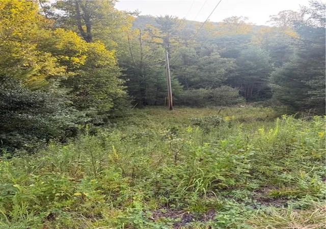 Photo 4 of Land for sale at 0 W US Hwy 421, Purlear, NC 28665 | MLS# 1234255 | Listing updated on 2026-10-08