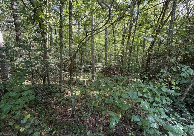 Photo 1 of Land for sale at Lots 20 & 21 Zinzendorf Ln, Moravian Falls, NC 28654 | MLS# 1235654 | Listing updated on 2026-09-16