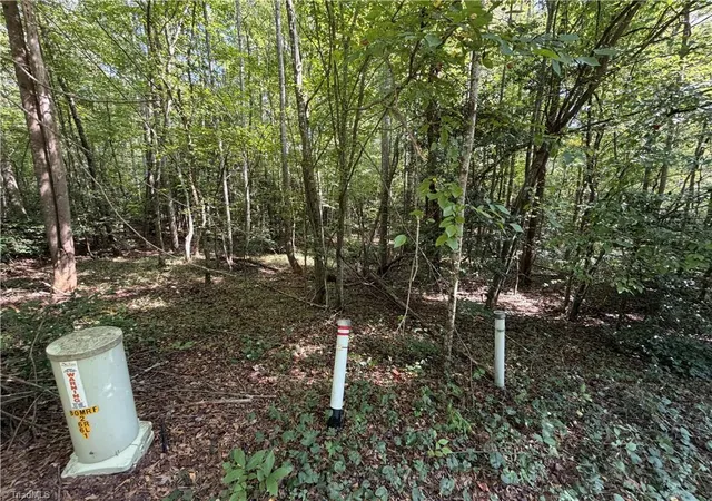 Photo 3 of Land for sale at Lots 20 & 21 Zinzendorf Ln, Moravian Falls, NC 28654 | MLS# 1235654 | Listing updated on 2026-09-16
