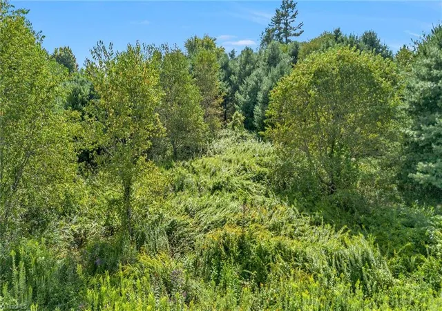 Photo 1 of Land for sale at Lot 69 Green Meadows Dr, Todd, NC 28684 | MLS# 1234382 | Listing updated on 2026-10-02