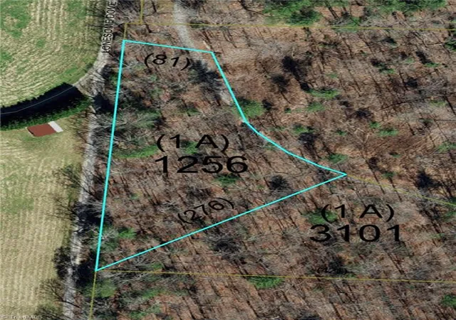 Photo 1 of Land for sale at 1653 Walshtown Rd, Boomer, NC 28606 | MLS# 1234619 | Listing updated on 2026-09-04