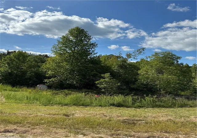 Land for sale at 4419 Alamance Church Rd, Liberty, NC 27298 | MLS# 1235055
