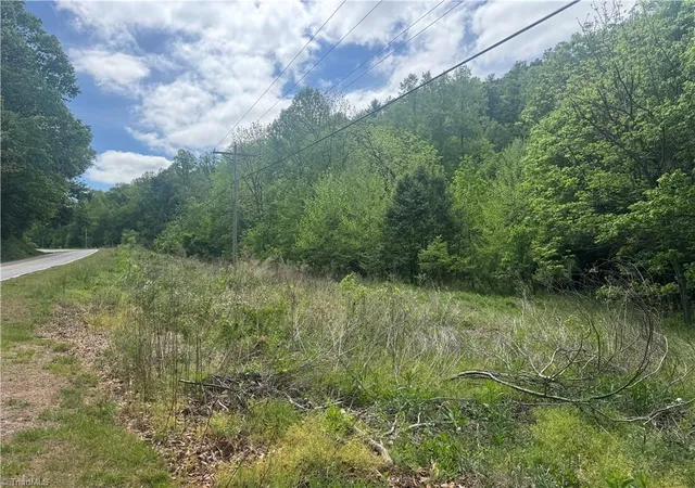 Photo 2 of Land for sale at 000 Old 60, Wilkesboro, NC 28697 | MLS# 1216066 | Listing updated on 2026-09-09