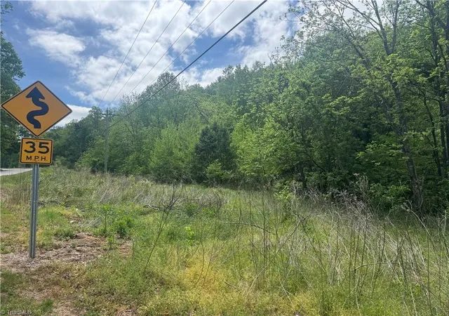 Photo 3 of Land for sale at 000 Old 60, Wilkesboro, NC 28697 | MLS# 1216066 | Listing updated on 2026-09-09