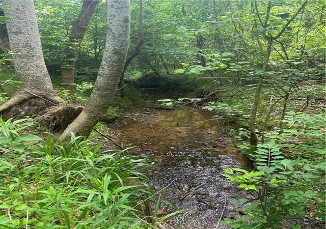 Photo 3 of Land for sale at 000 Old 60, Wilkesboro, NC 28697 | MLS# 1216066 | Listing updated on 2026-09-09
