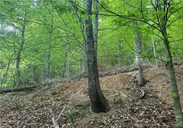 Photo 4 of Land for sale at 000 Old 60, Wilkesboro, NC 28697 | MLS# 1216066 | Listing updated on 2026-09-09