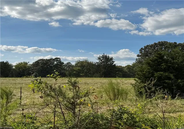 Land for sale at 4415 Alamance Church Rd, Liberty, NC 27298 | MLS# 1234991