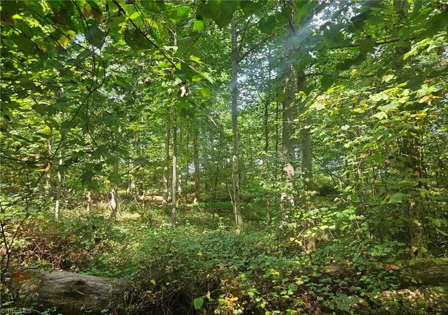 Photo 3 of Sale Pending at Tbd Luffman Rd, Ronda, NC 28670 | MLS# 1236179 | Listing updated on 2026-10-01