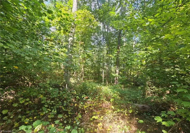 Photo 4 of Sale Pending at Tbd Luffman Rd, Ronda, NC 28670 | MLS# 1236179 | Listing updated on 2026-10-01