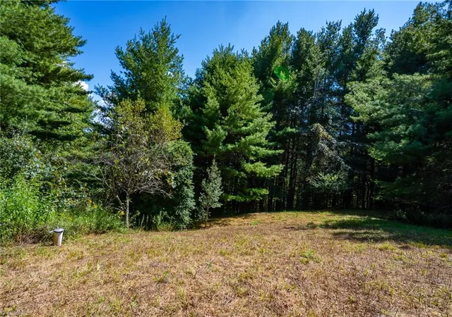 Photo 3 of Land for sale at 257 Alta Vista Ln, Sparta, NC 28675 | MLS# 1235280 | Listing updated on 2026-09-11