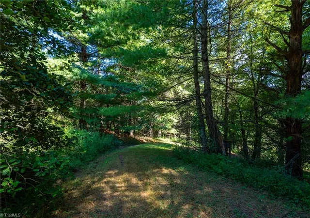 Photo 3 of Land for sale at 257 Alta Vista Ln, Sparta, NC 28675 | MLS# 1235280 | Listing updated on 2026-09-11
