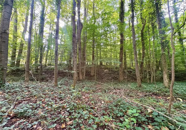 Photo 3 of Land for sale at 8101 Deverow Ct, Lewisville, NC 27023 | MLS# 1236024 | Listing updated on 2026-09-19