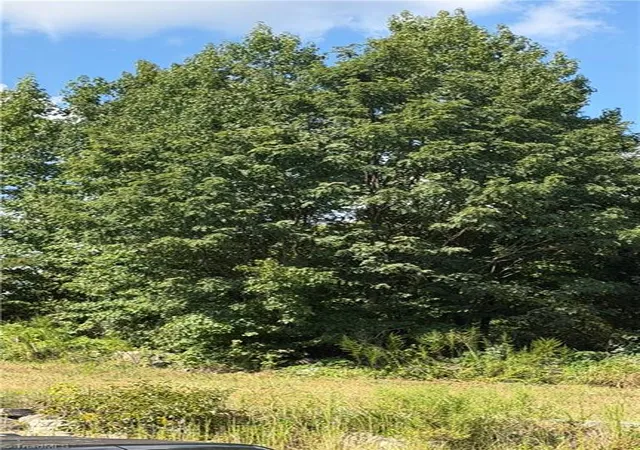 Land for sale at 000 Harmon Dr, Thomasville, NC 27360 | MLS# 1235075