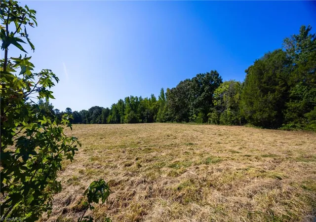 Photo 3 of Land for sale at 00 Old Bradshaw Rd, Salisbury, NC 28147 | MLS# 1234776 | Listing updated on 2026-09-07