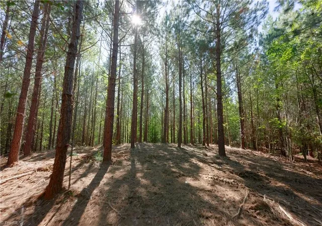Photo 4 of Sale Pending at 12 Morrison Rd, Morganton, NC 28655 | MLS# 1239987 | Listing updated on 2026-10-23