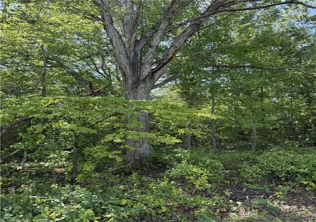 Photo 2 of Land for sale at 00000 Mizpah Church Rd, Reidsville, NC 27320 | MLS# 1234713 | Listing updated on 2026-09-05