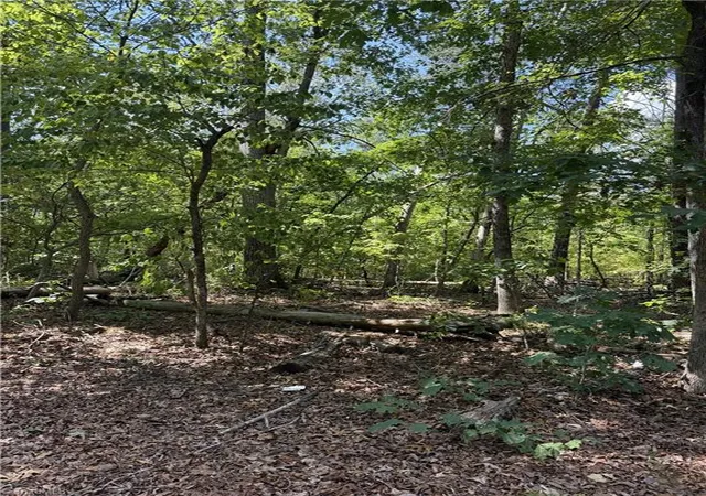Photo 3 of Land for sale at 00000 Mizpah Church Rd, Reidsville, NC 27320 | MLS# 1234713 | Listing updated on 2026-09-05