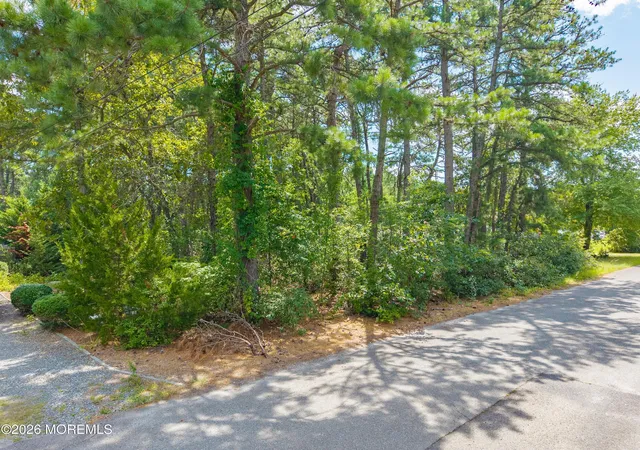 Photo 3 of Land for sale at 0 Capshaw Rd, Forked River, NJ 08731 | MLS# 22630378 | Listing updated on 2026-09-25