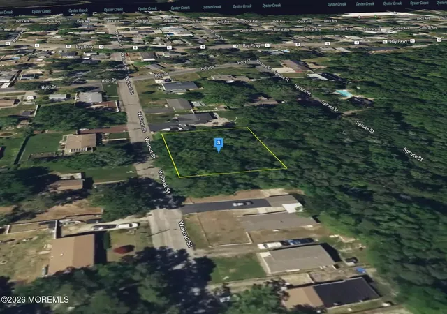 Photo 3 of Land for sale at 29 Walnut St, Waretown, NJ 08758 | MLS# 22627459 | Listing updated on 2026-09-01