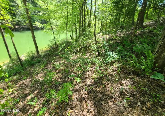 Photo 1 of Land for sale at Lot 117a Claiborne Rd, La Follette, TN 37766 | MLS# 1354158 | Listing updated on 2026-09-03