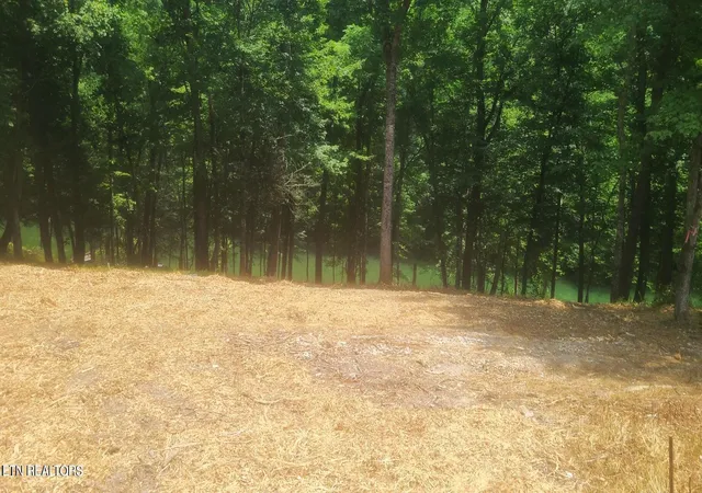 Photo 2 of Land for sale at Lot 117a Claiborne Rd, La Follette, TN 37766 | MLS# 1354158 | Listing updated on 2026-09-03