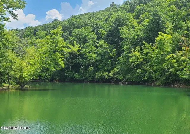 Photo 3 of Land for sale at Lot 117a Claiborne Rd, La Follette, TN 37766 | MLS# 1354158 | Listing updated on 2026-09-03