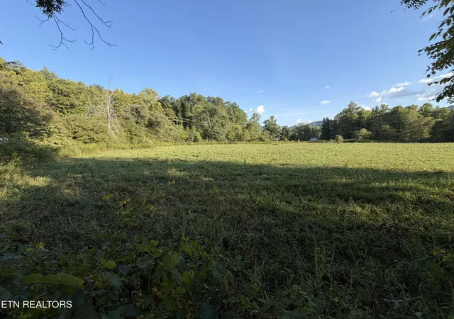 Photo 2 of Land for sale at 5441 White Oak Rd, Duff, TN 37729 | MLS# 1326665 | Listing updated on 2026-09-14