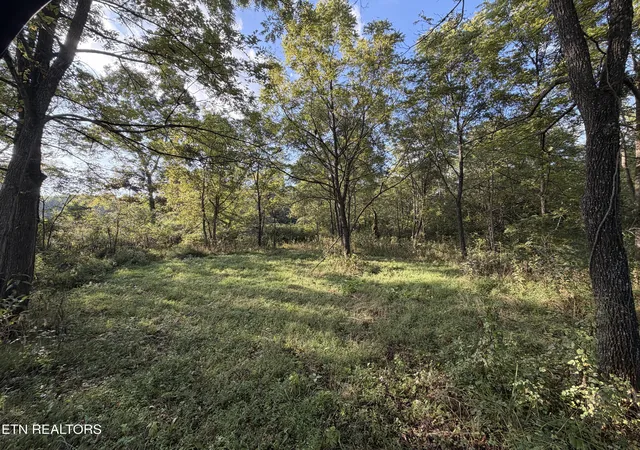Photo 3 of Land for sale at 5441 White Oak Rd, Duff, TN 37729 | MLS# 1326665 | Listing updated on 2026-09-14