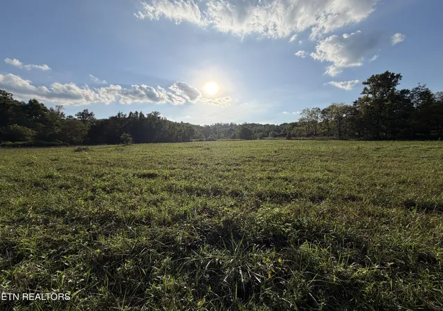 Photo 3 of Land for sale at 5441 White Oak Rd, Duff, TN 37729 | MLS# 1326665 | Listing updated on 2026-09-14