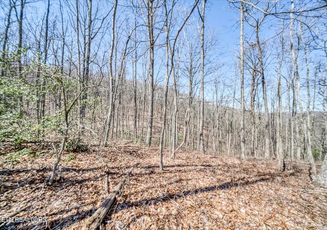 Land for sale at Lot734&735 Renegade Mountain Pkwy, Crab Orchard, TN 37723 | MLS# 1355770