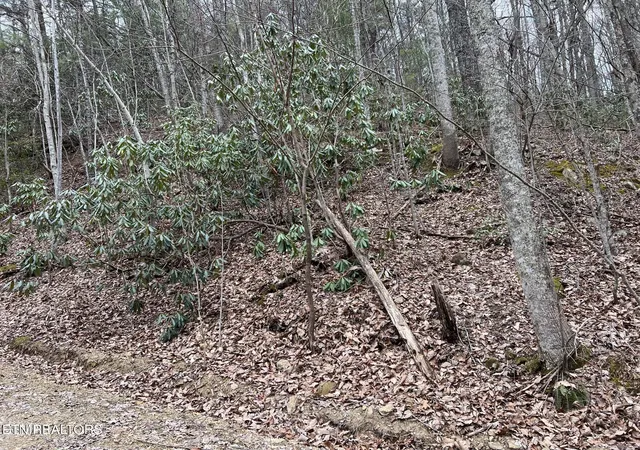 Photo 1 of Land for sale at Lot 120 John Sevier Dr, Sevierville, TN 37876 | MLS# 1358647 | Listing updated on 2026-10-12