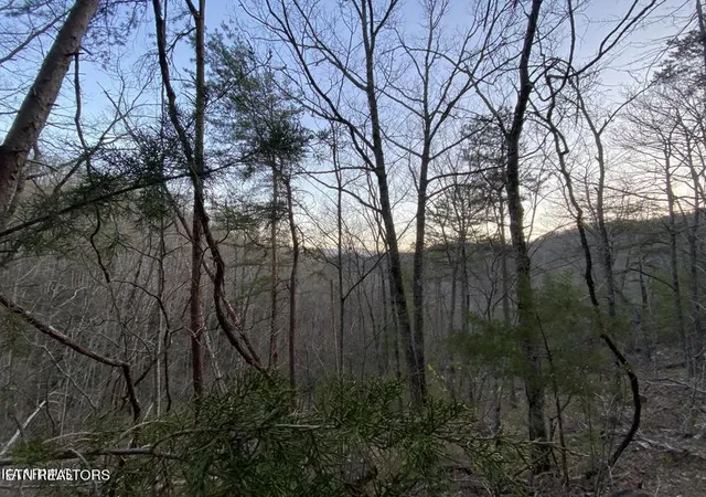 Photo 2 of Land for sale at Beechwood St, Sevierville, TN 37876 | MLS# 1358616 | Listing updated on 2026-10-12