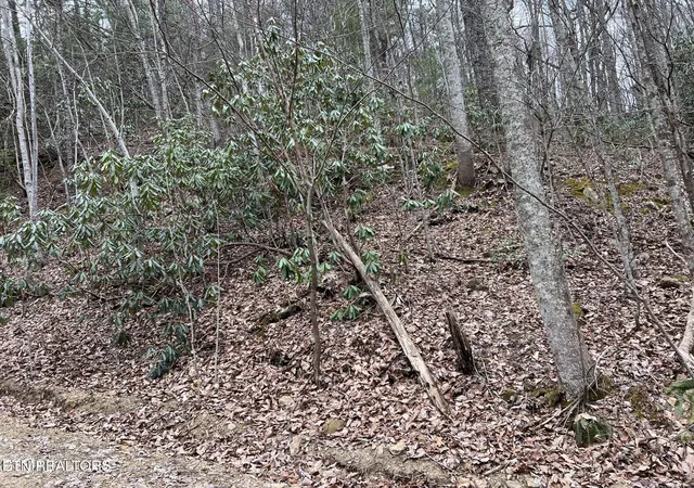 Photo 2 of Land for sale at John Sevier Dr, Sevierville, TN 37876 | MLS# 1358626 | Listing updated on 2026-10-12