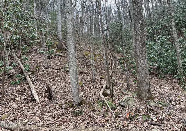 Photo 3 of Land for sale at John Sevier Dr, Sevierville, TN 37876 | MLS# 1358626 | Listing updated on 2026-10-12