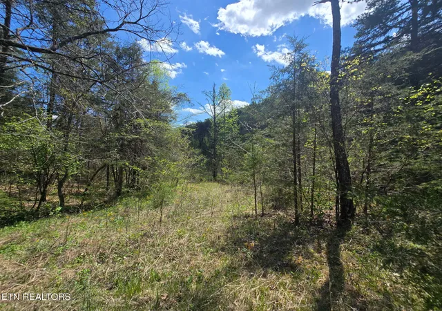Photo 1 of Land for sale at Wineberry Tr, Ewing, VA 24248 | MLS# 1336955 | Listing updated on 2026-10-02