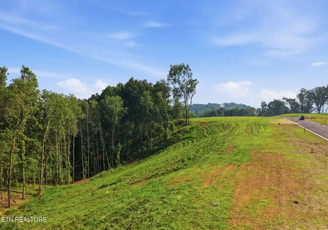 Photo 1 of Land for sale at 145 Canopy Trl Ln, Loudon, TN 37774 | MLS# 1338276 | Listing updated on 2026-10-23