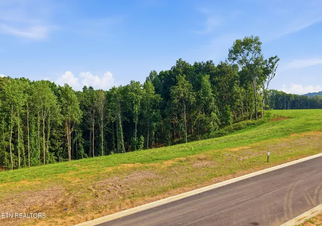 Photo 4 of Land for sale at 145 Canopy Trl Ln, Loudon, TN 37774 | MLS# 1338276 | Listing updated on 2026-10-23